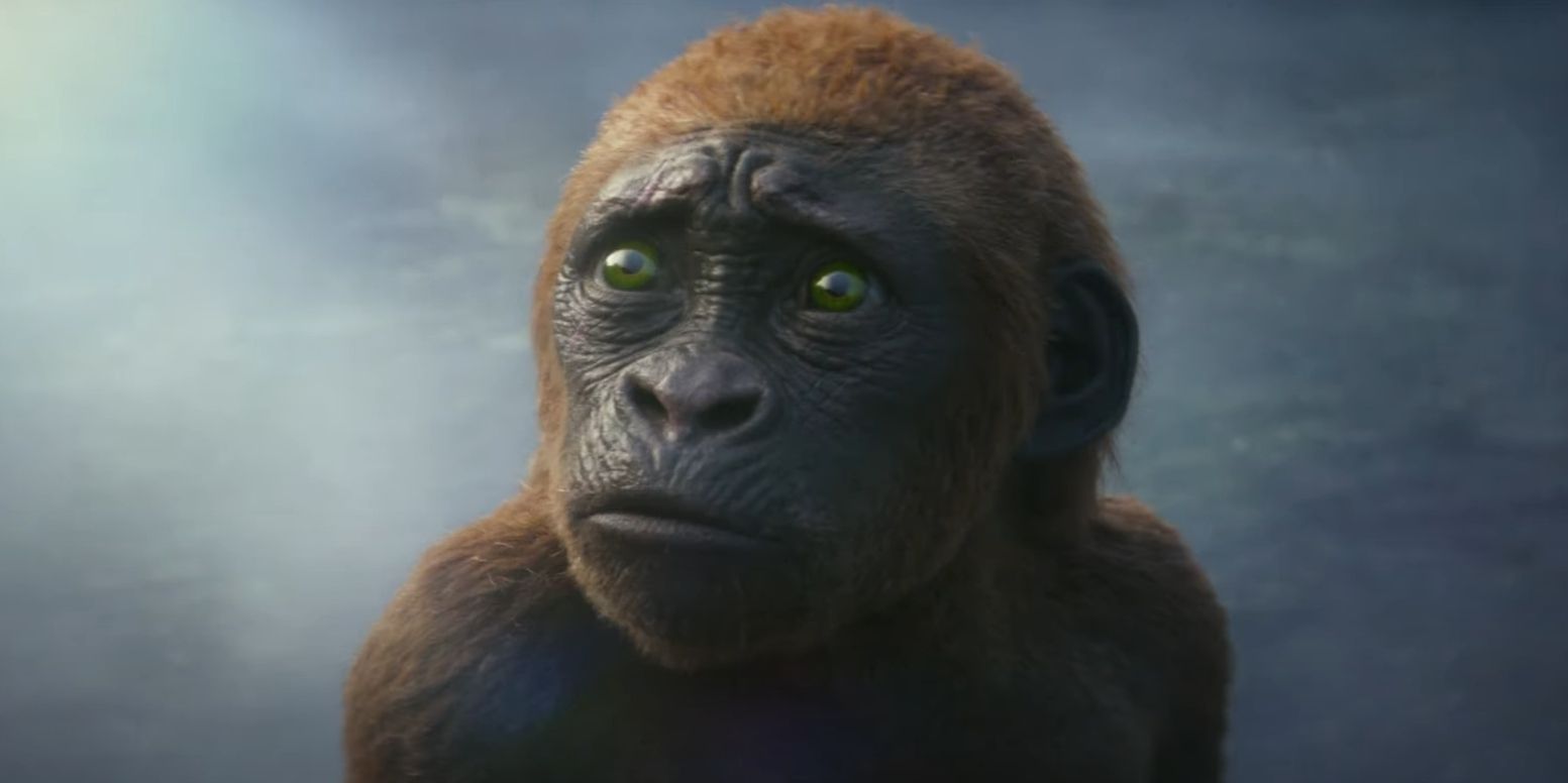 Baby Kong aparece en Godzilla x Kong: El Nuevo Imperio